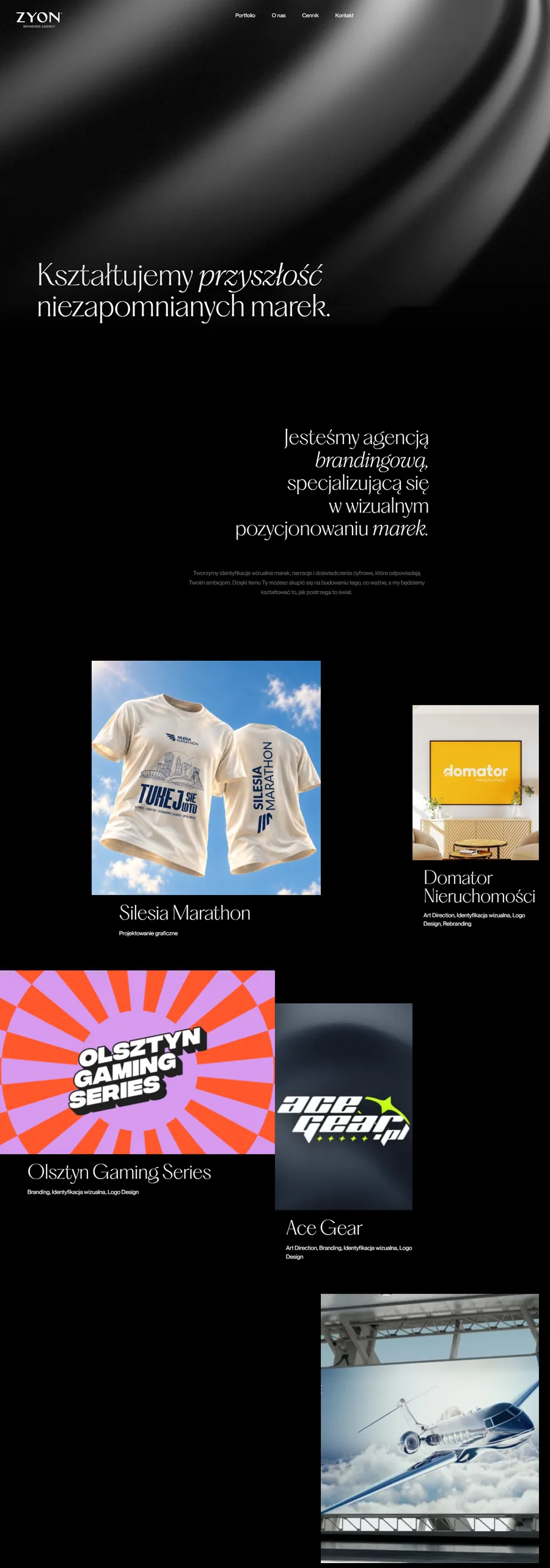 Home page of ZYON